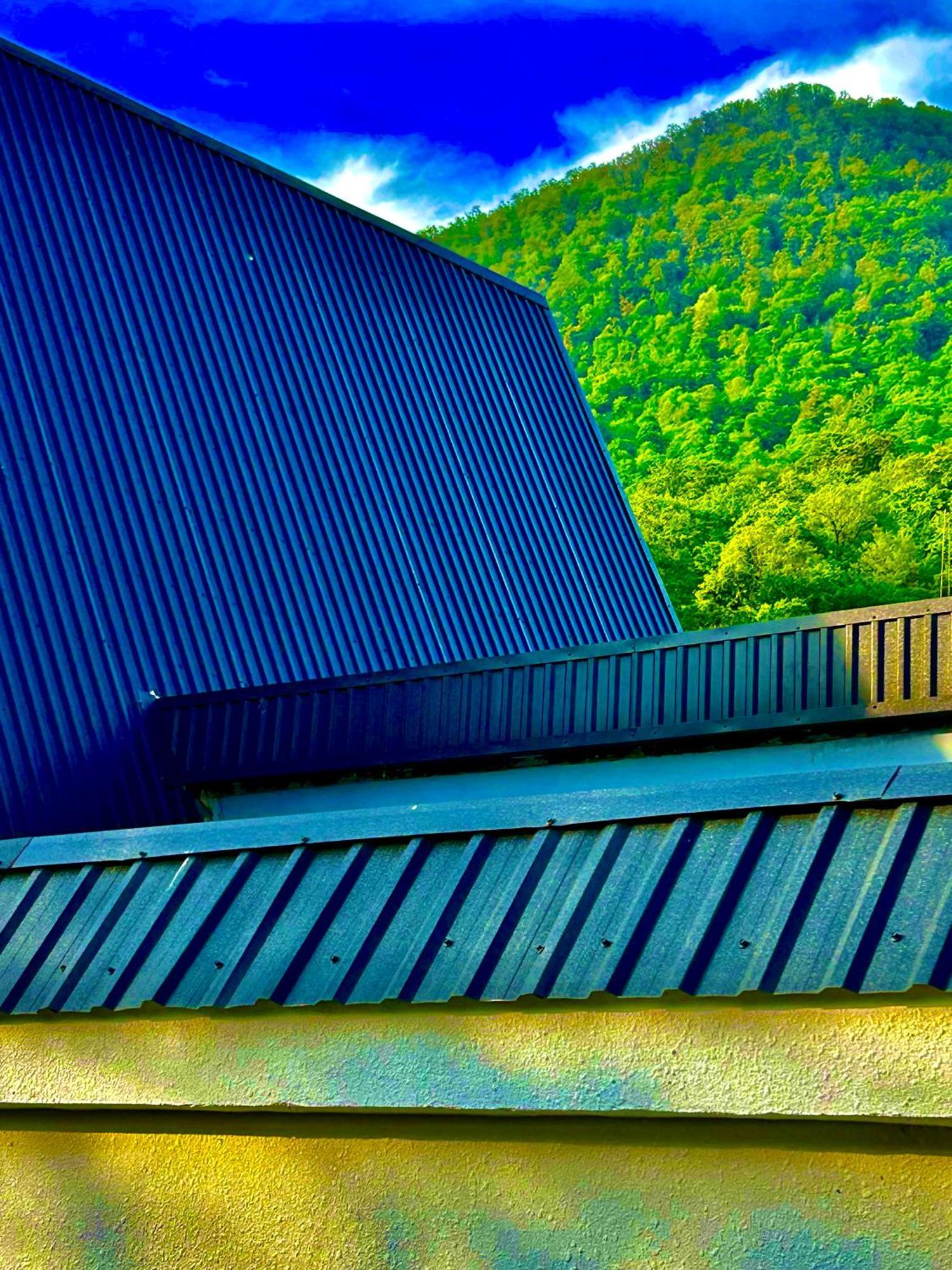 Qafqaz Mountside Chalet غابالا المظهر الخارجي الصورة